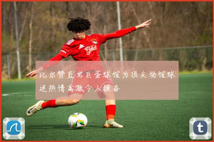 比尔赞直觉巨蛋球馆为顶尖场馆球迷热情高涨令人振奋