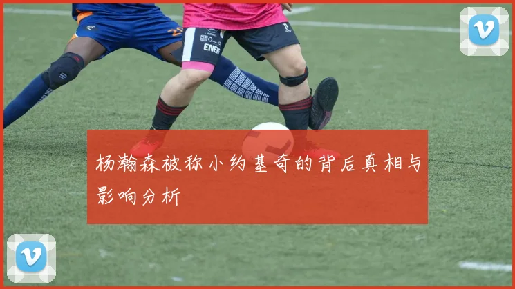 杨瀚森被称小约基奇的背后真相与影响分析