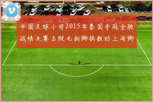 中国足球小将2015年泰国夺冠全胜战绩决赛击败毛剑卿执教的上海卿训
