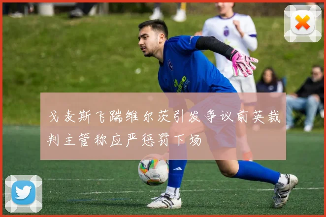 戈麦斯飞踹维尔茨引发争议前英裁判主管称应严惩罚下场