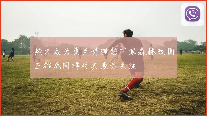 热火成为莫兰特理想下家森林狼国王雄鹿同样对其表示关注
